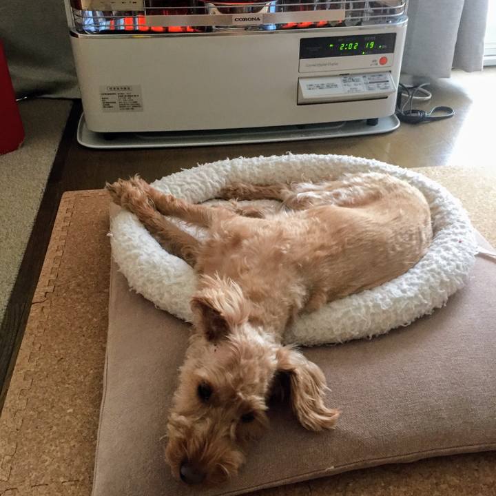 7533856c 87e8 4fae 9cf9 bf44336b67de