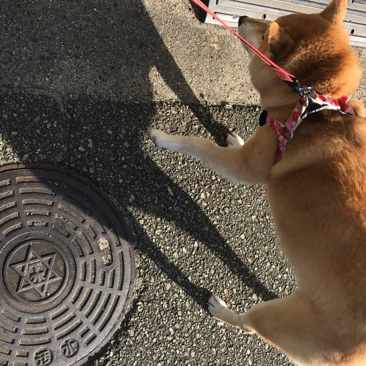 7533b8ae bdfe 40c3 a19b 862ec39c9e6b