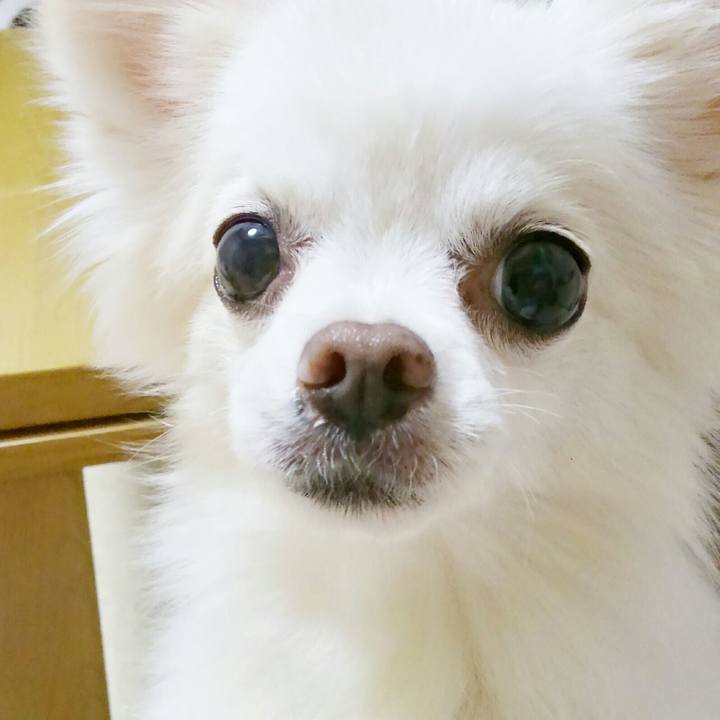 75340120 d81c 4a80 b110 2c6a90ec85ef