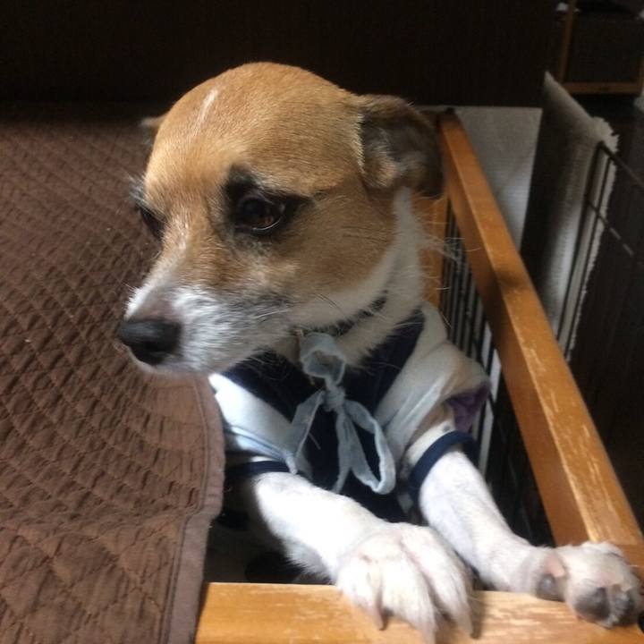 753406d4 0cec 40db 9bb1 d6f326132ea6