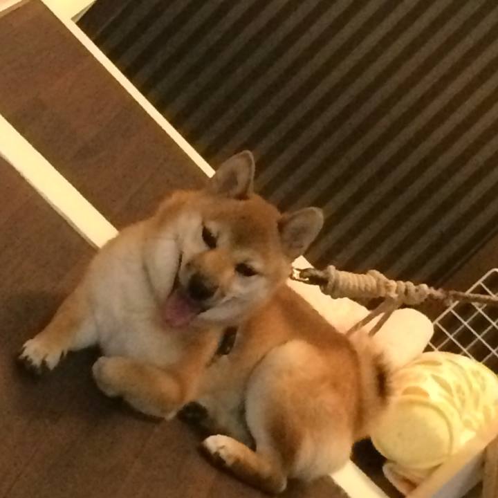 75346df1 f66d 4b84 bc38 4dc501df4af5