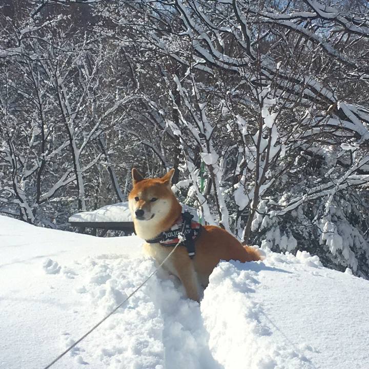 75355378 97f0 4fdc 904e d01a6d2b7c89