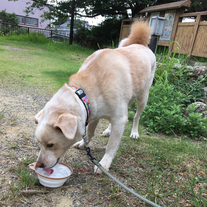 75355fa9 0213 4894 abee b8fbbfa2b557