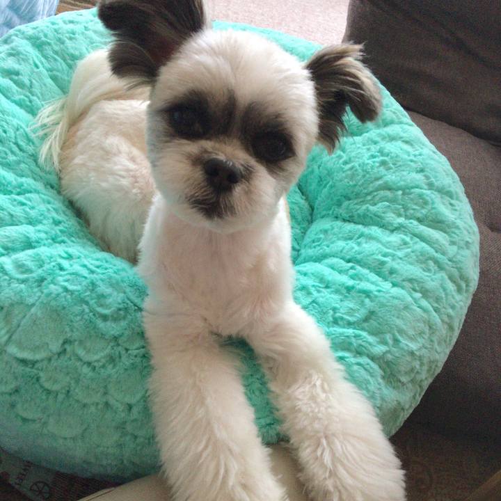 7535ff2e 38f4 4bcf 9595 e803f9be3a9f