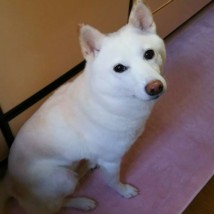 7536799a 66df 4b1f 940d 35d5881c4441