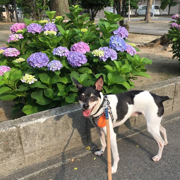 7536bbc8 7528 415a b718 ceb6e0d9e07e