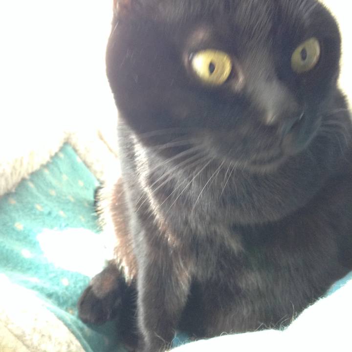 7536edab 129f 4400 8d7d 7141f5f42eb8