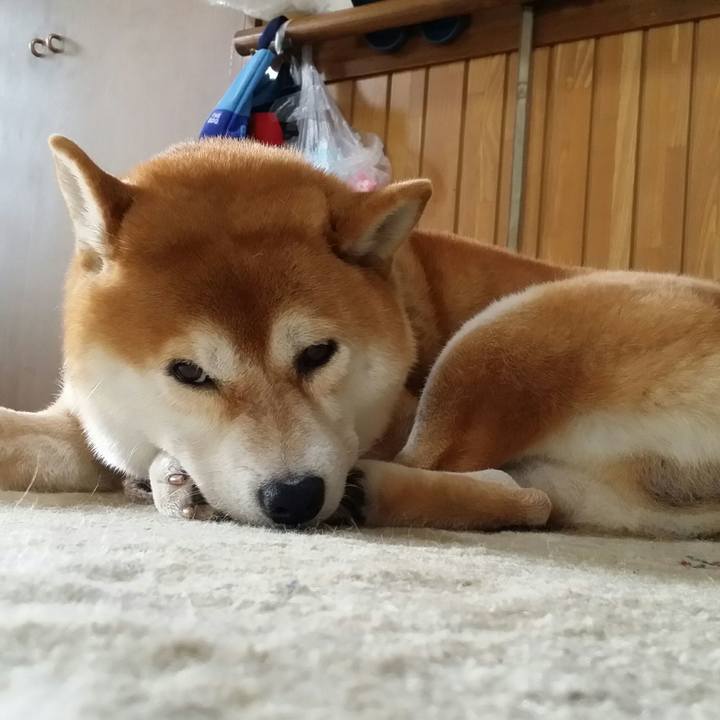 7536f5cc 40d8 4cf6 a765 9f13dfa78757