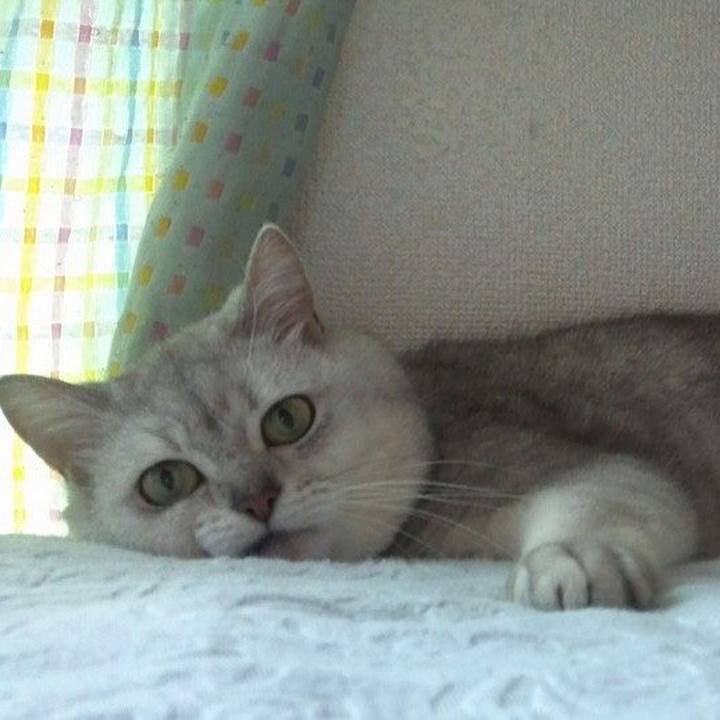 75371b39 bd48 465e 950a 0cc624fc1304