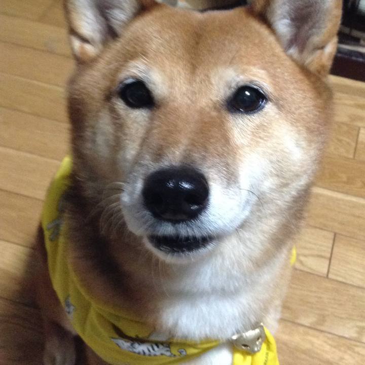 753746bb 17bd 40b8 87ea 326ae19d5e54