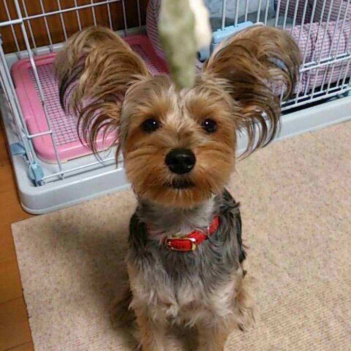 7537acea 5997 46f2 83d7 7f4d3f657a55