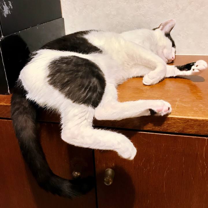 7537b52b f3c1 4cd8 8c44 a9f4d334d3cf