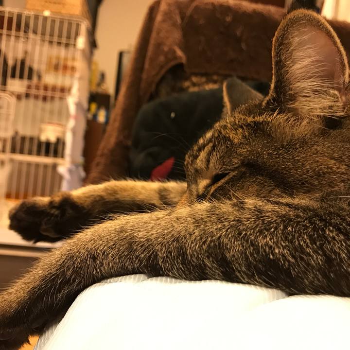 75382e83 f38d 4b7f 8e7e d815a21724cb