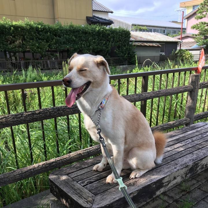 75387e0d 72cf 4762 8a88 9e8dd6d27e50