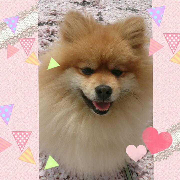 75389f4e 76e8 4a4d 8c99 9a9a2482133a