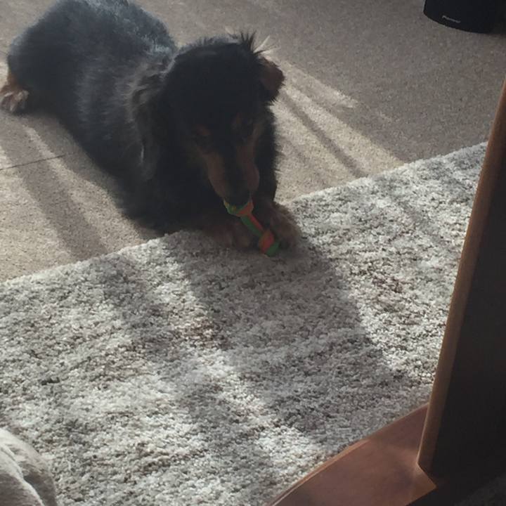 7538b84f 7e00 4a91 901d 27be1979ec43