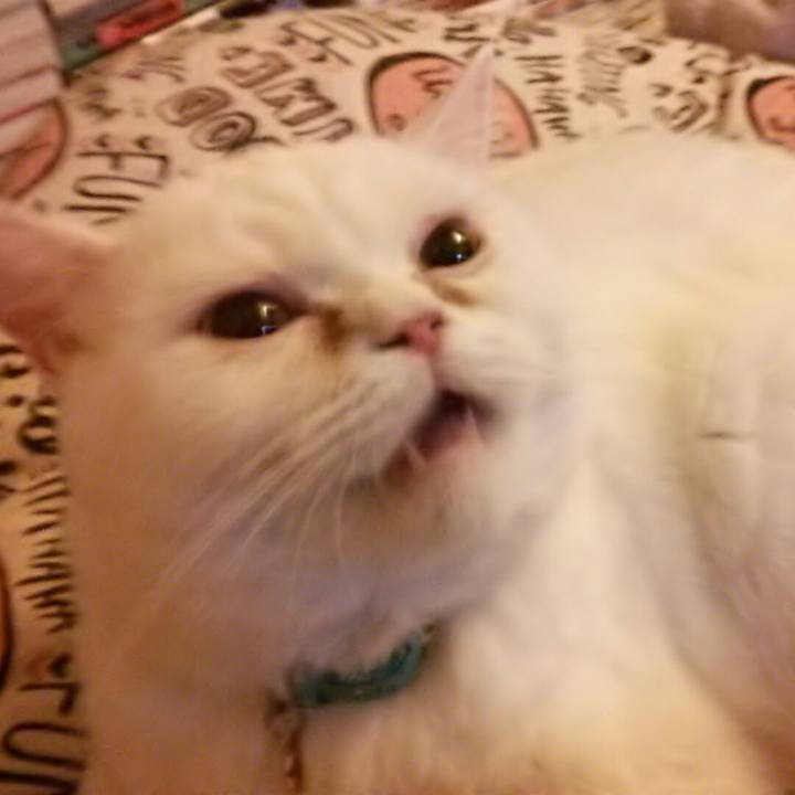 75391fd3 f359 47dd aa44 565b47487a28