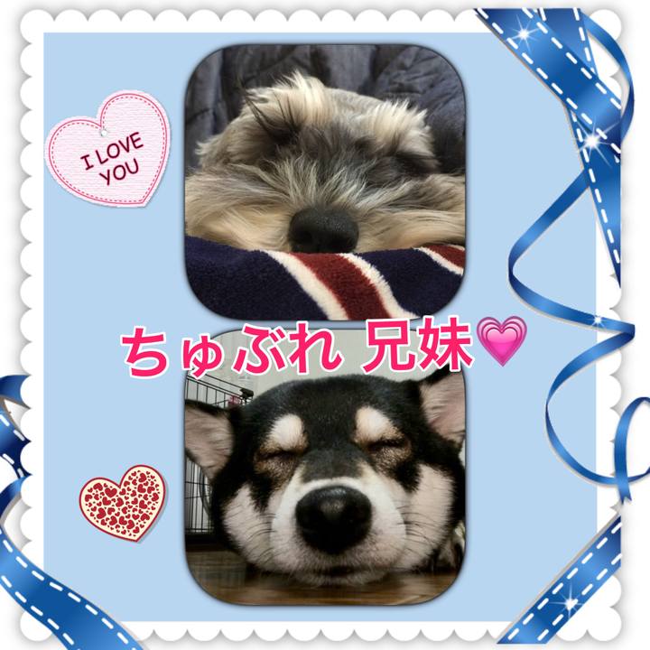 75394a19 4558 47dc a74d 9933e97d9b07