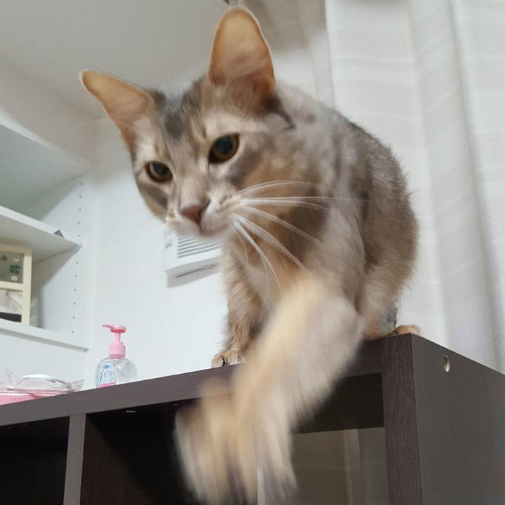 75398658 c955 4272 b0ff 5a8a9fd9ebe1