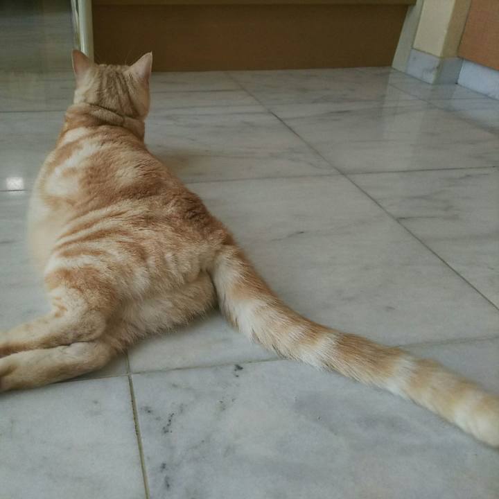 7539d277 a0e0 49af bc40 20feaffa6407