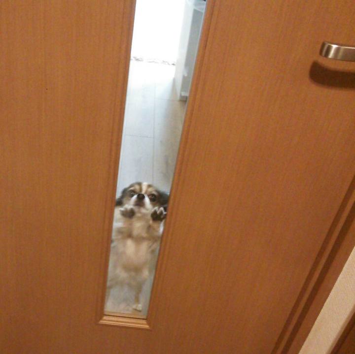 7539e3b0 1104 4124 a5e5 5e6475955131