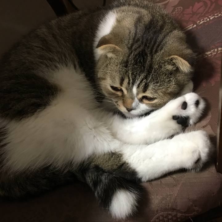 753a2051 73f7 4778 bb4d d7b93908b120