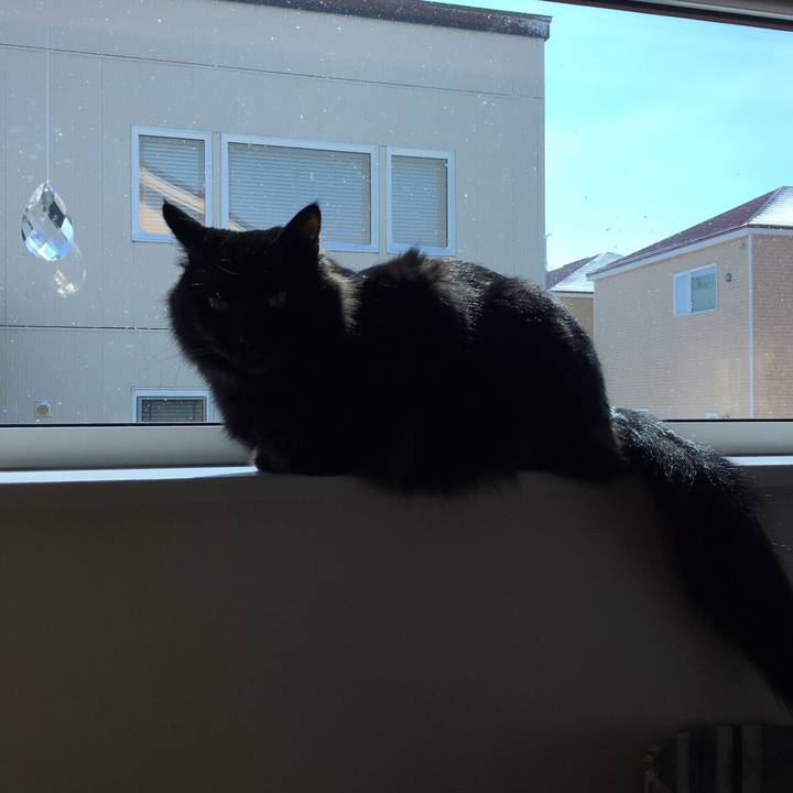 753ac1cf 1a88 4424 b830 f271c568a73e