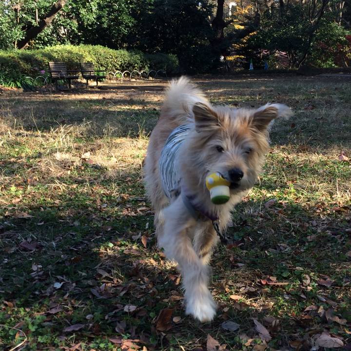 753b9ce0 1f18 4c88 b641 a30d3eba1cea