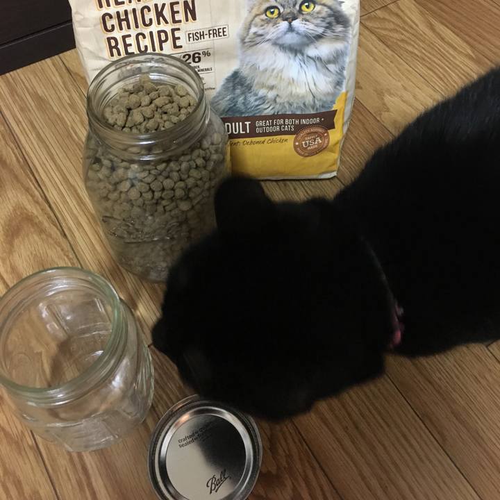 753bbdc6 5c93 4fc2 bb27 ac56d467f7c4