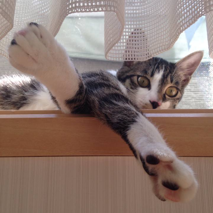 753c2639 635f 438a 876d 36018db366ac