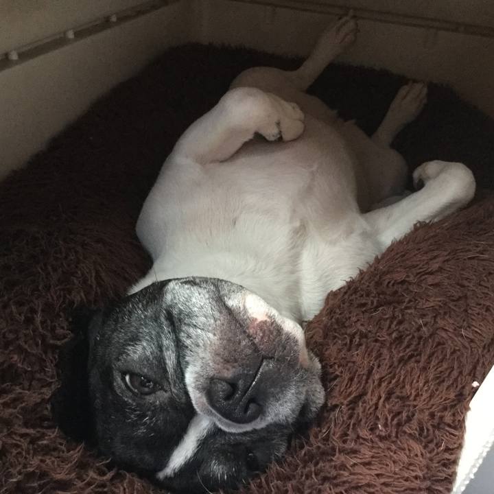 753c8ca0 3161 4ff2 a44e e8c721f0cda6