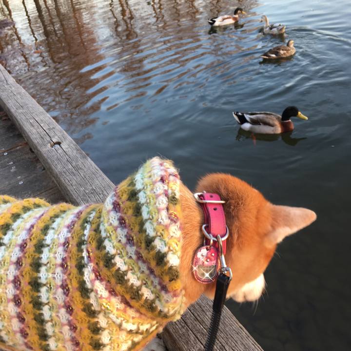 753cb157 8bb2 4122 843b 50190104955d