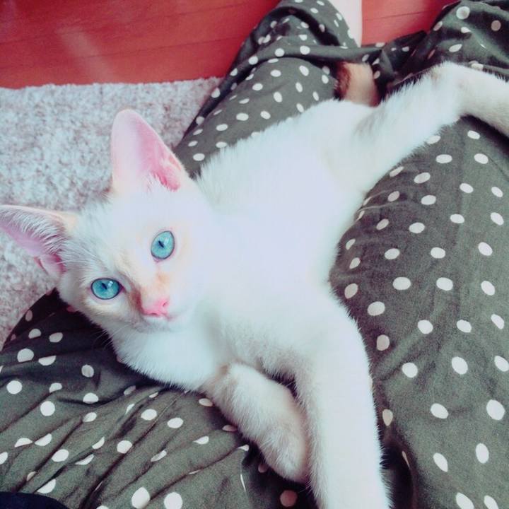 753d4f4e e6c9 453e af92 295a9ab00e9d