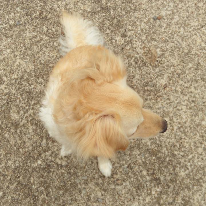 753df3c6 128c 4134 9032 450a0366fd77