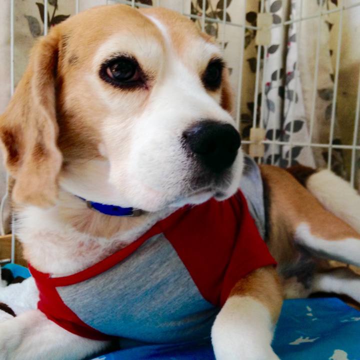 753e2bca 20cc 4bb9 a201 153bd39c5832