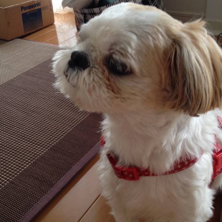 753f2a59 f5ac 471e b908 3d8274f21dba