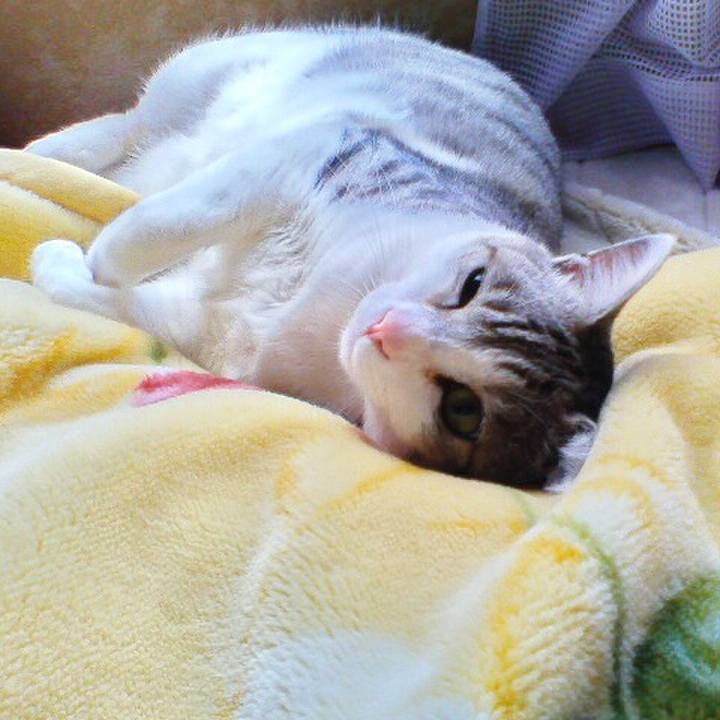 753f2a9c e11d 4d37 8eb6 f84a30142c06