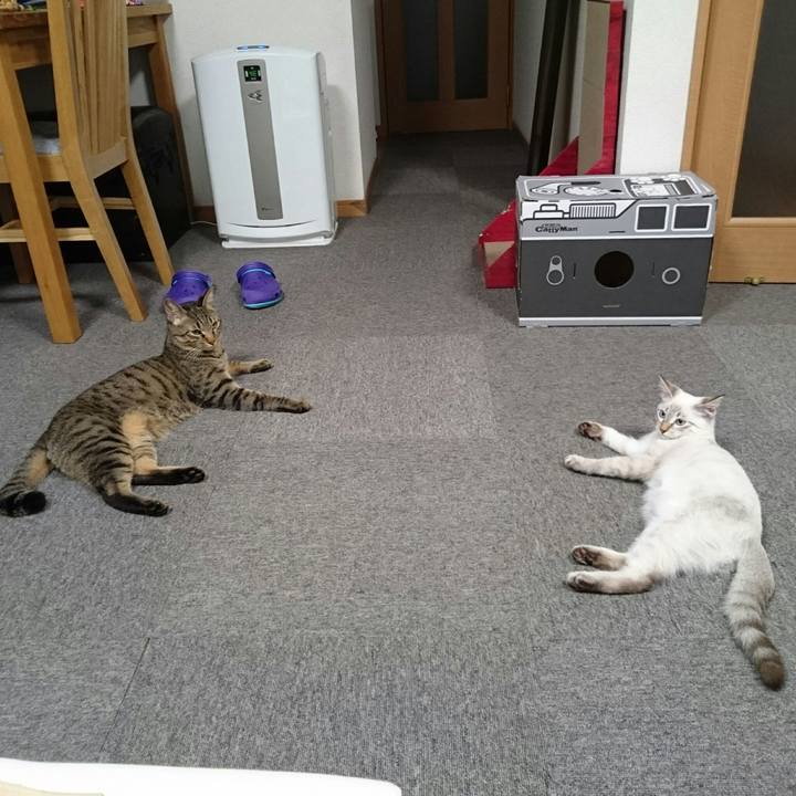 753f3966 bbf5 47a7 b306 7a342ed6a38f