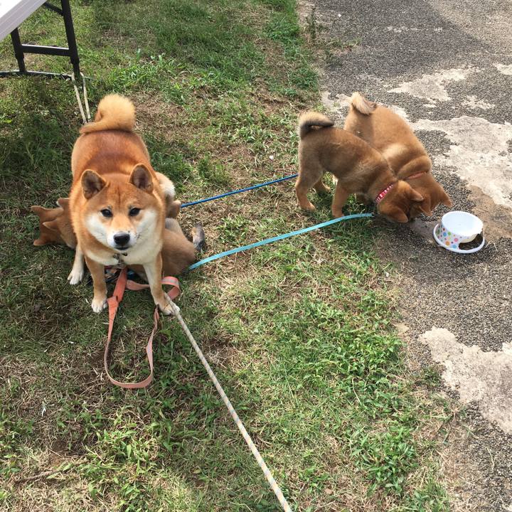 753f95b7 ddbd 4603 a17f ee64a3a44a34