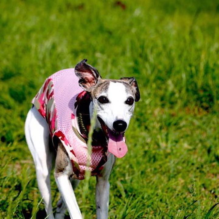 753ff474 47ea 4de1 a0be 04b630065f3f