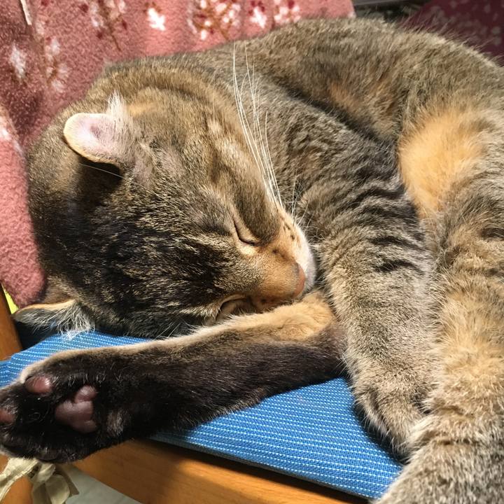 7540aa1f d3de 437b add4 a3c22a8088d9