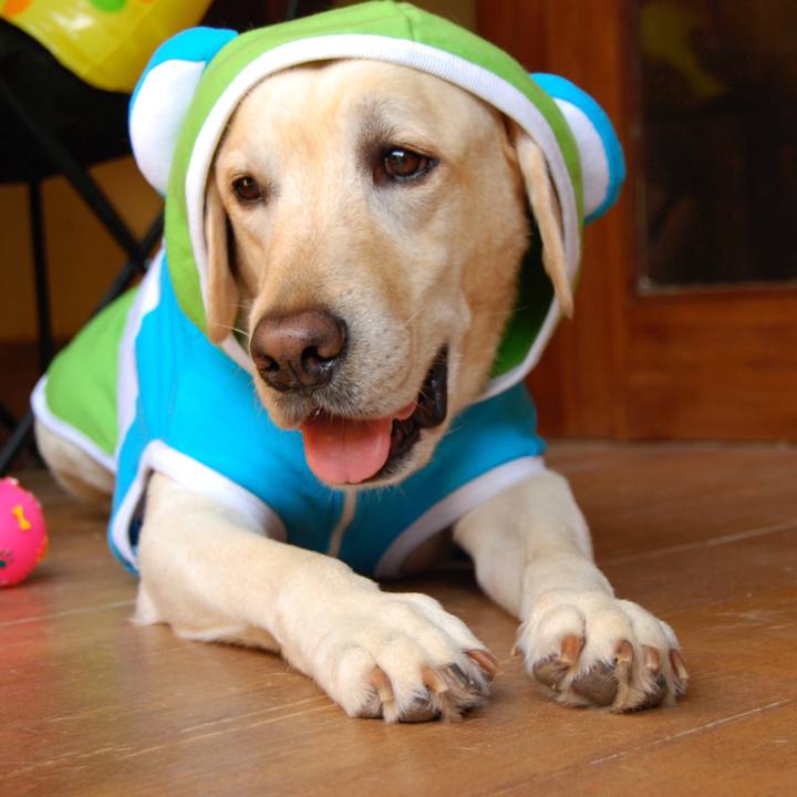 7540f7b3 363b 4f2a 9455 2815e770ff05