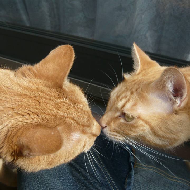 75418653 6361 4b3b bc94 1674c8654543