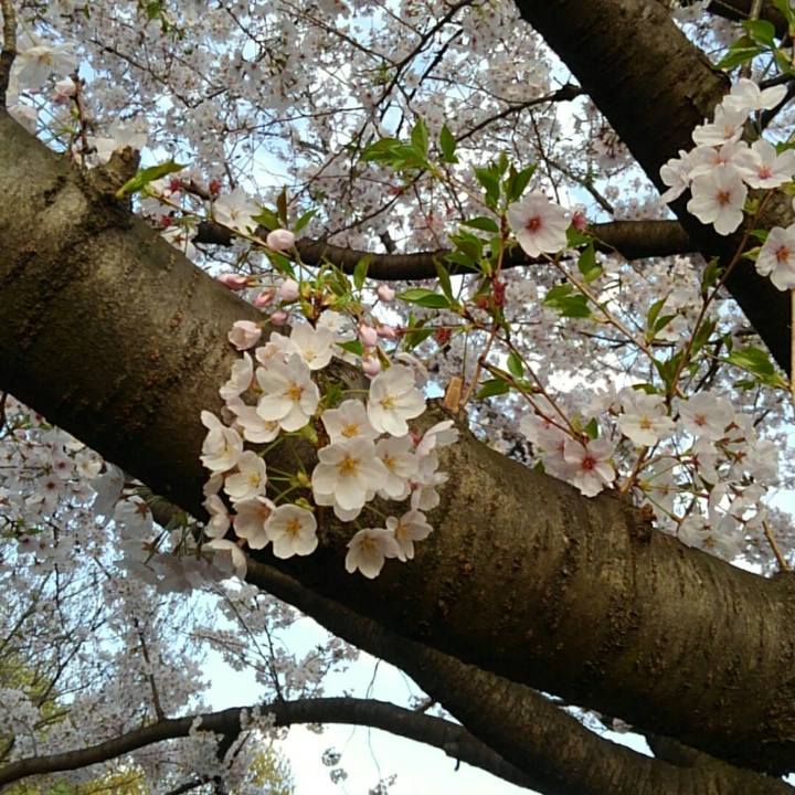 7541a651 b740 427c ab4b e453b0005124