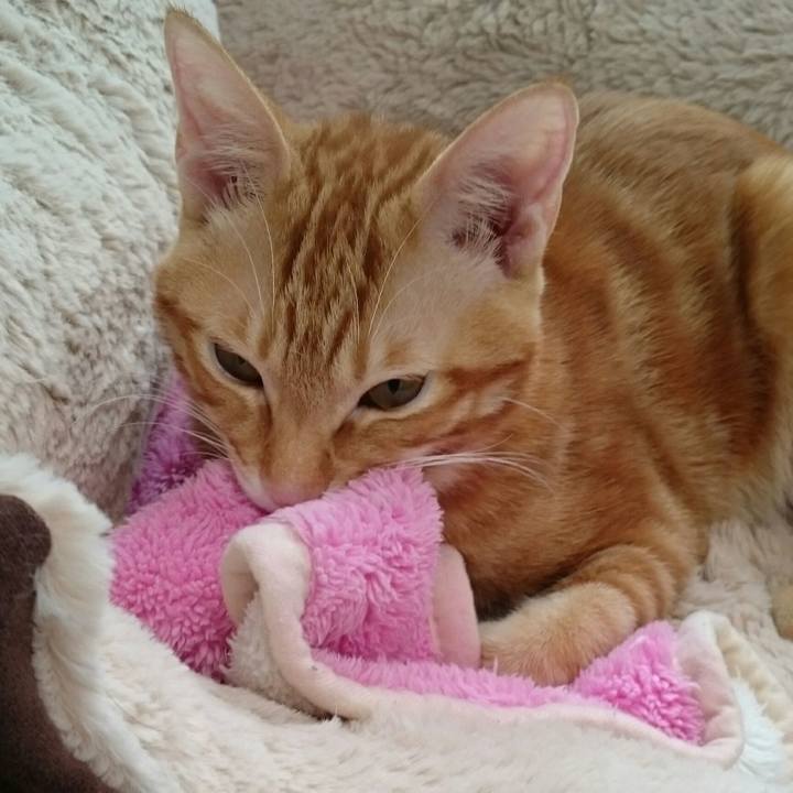 754260e3 87c6 449a b623 1ccccc710e38