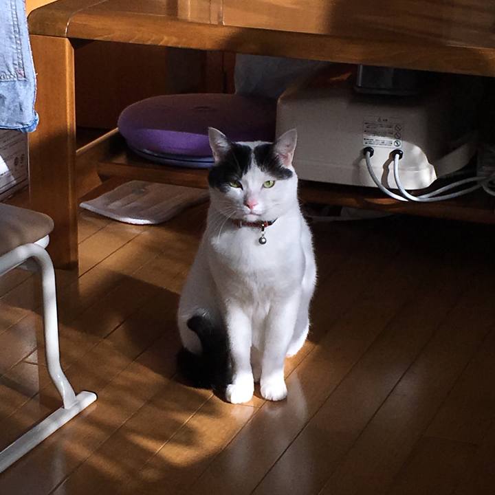 75430992 18a0 4344 be41 90c042321448