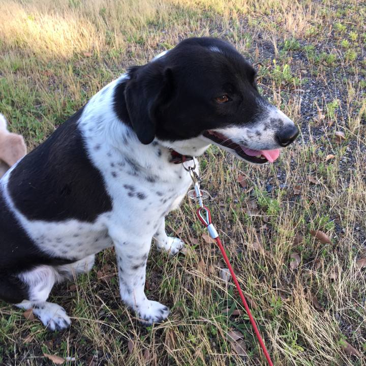 754396e3 8f51 429a b79f 99d1475be424