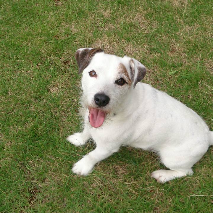 7543ded0 142e 448e b580 cc38ba39a397