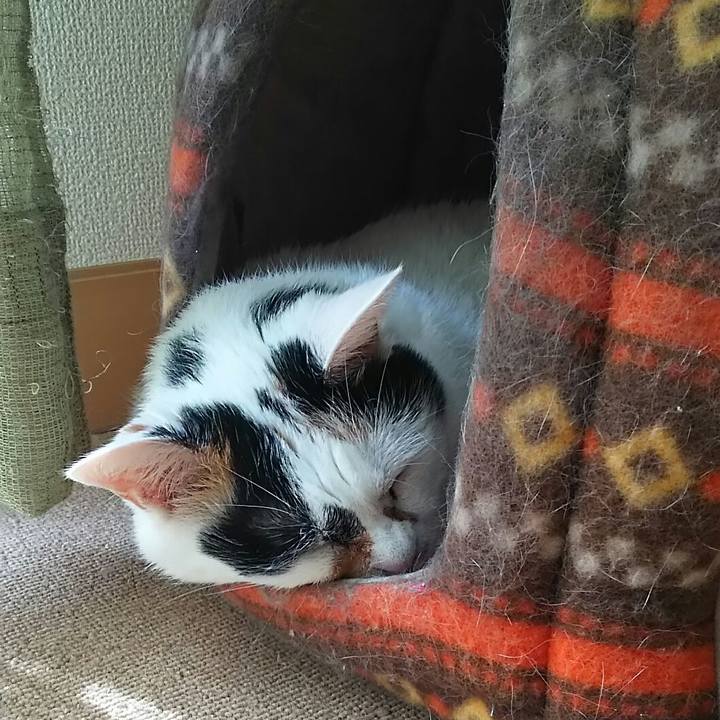 754443b5 d601 4ccc 9760 6448a54d00d2