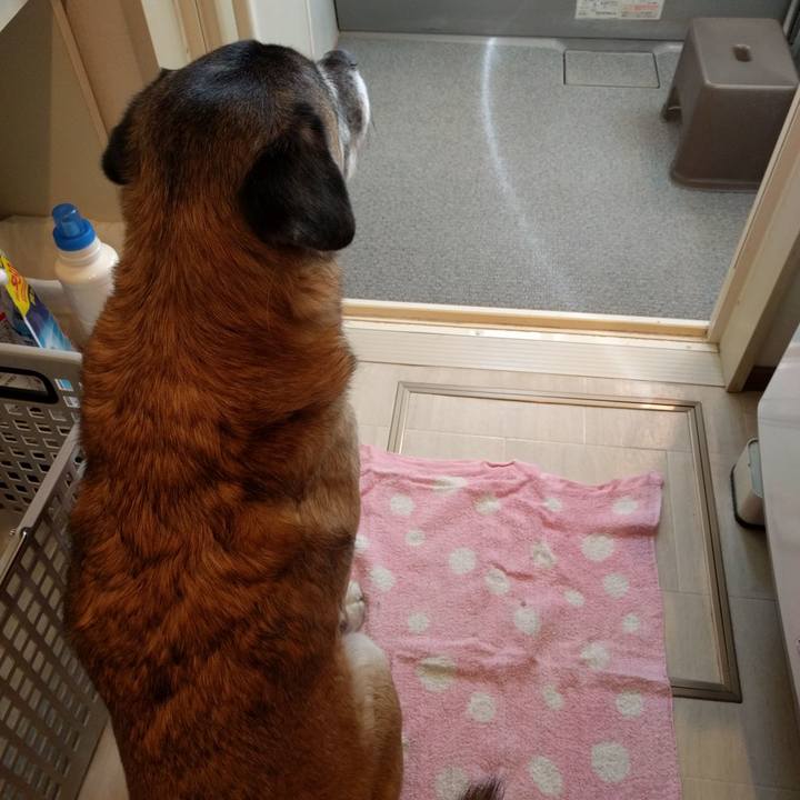 75446065 7e5e 4520 85fa fa06e1889050